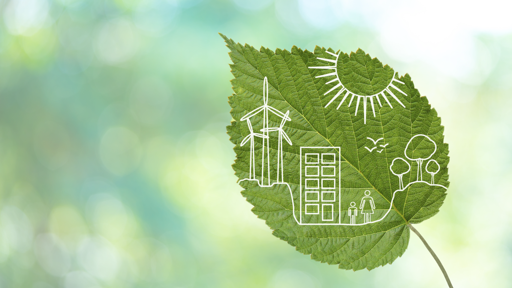 Decorative image showing a leaf with sustainability components.