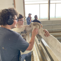 Two male students petting a goat