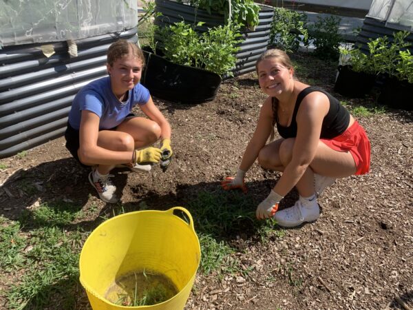 Two girls pulling weeds in Sunny's Garden.