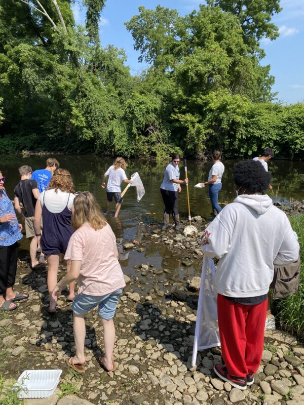 Students walking into stream with nets and scientific equipment