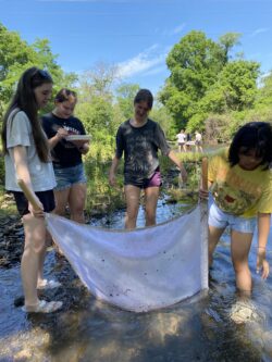 Students wade in a creek during a stream study