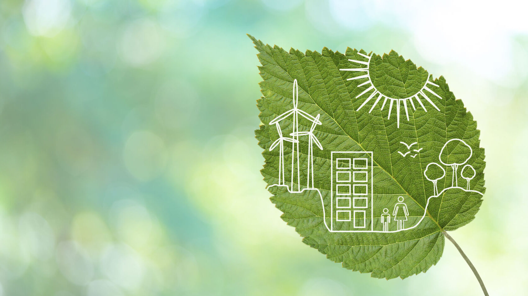 K-12 Sustainability Summit